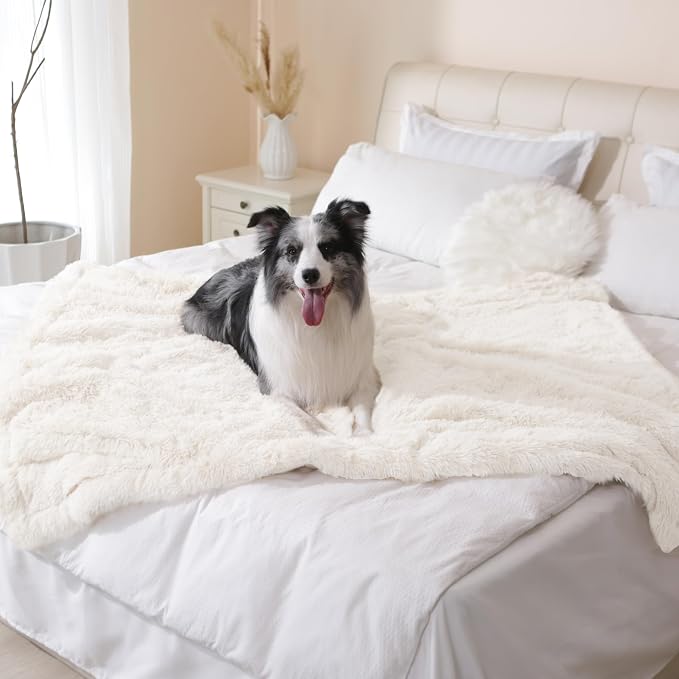 gogobunny Waterproof Dog Blanket for Couch & Furniture Protection - Super Soft Reversible Throw for Large Dogs & Cats, Calming Washable Fur & Sherpa Pet Blanket (50x60 Inch, Cream)