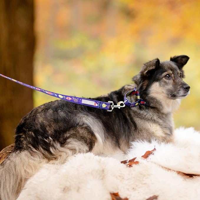 Lucky Love Dog Martingale Collar for Large Dogs No Slip – Mackey, Large
