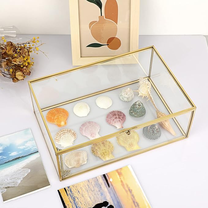 Hipiwe Vintage Glass Keepsake Box - Rectangle Jewelry Display Case, X-Large | Gold Vanity Organizer Lidded Boxes Home Decor Accent for Storage Trinket Rings Bracelet Rock