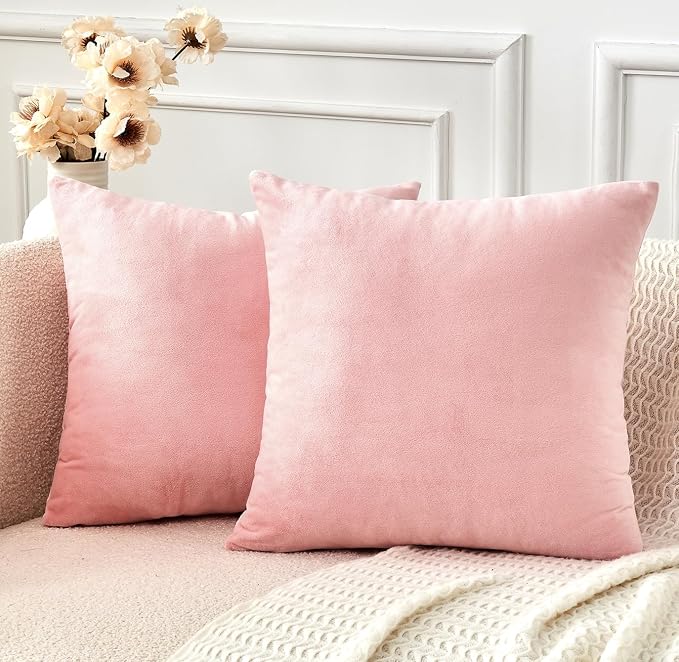 Throw Pillow Covers Pink Set of 2 20x20 Inch Pillow Covers, Soft Velvet Cute Decorative Pillowcases for Couch Sofa Bed, Home Boho Decor, Modern Cushion Covers