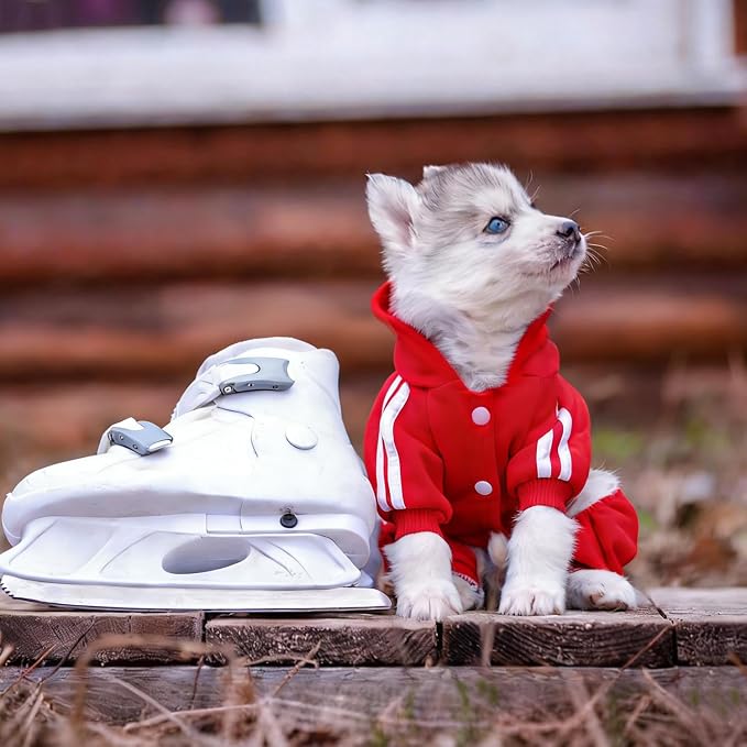 Dog Hoodie Security Clothes 4 Legs Jumpsuit Sweatshirt Hoodies Soft & Warm Dog Outfit Pullover Dog Winter Clothes Sweater for Small Medium Large Dogs Cats (Red, Small)
