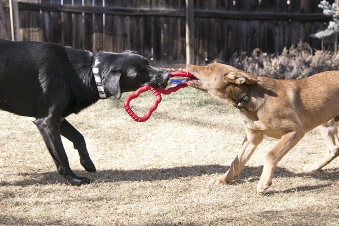 KONG Tug Toy - Dog Supplies for Tug of War - Natural Rubber Dog Toy for Outdoor & Indoor Playtime - for Medium/Large Dogs (2 Pack)