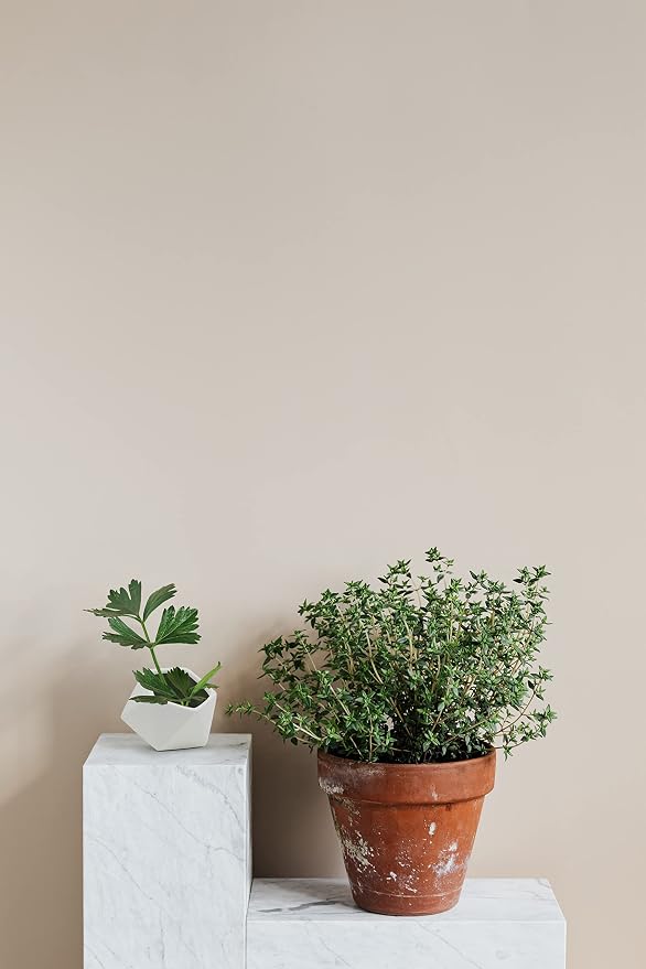 WGV Geometric Ceramic Vase, Width 5", Height 4.3", Matte White Tilted Pot, DIY Folded Planter Bowl for Wedding Event Office Home Decor, 1 Piece