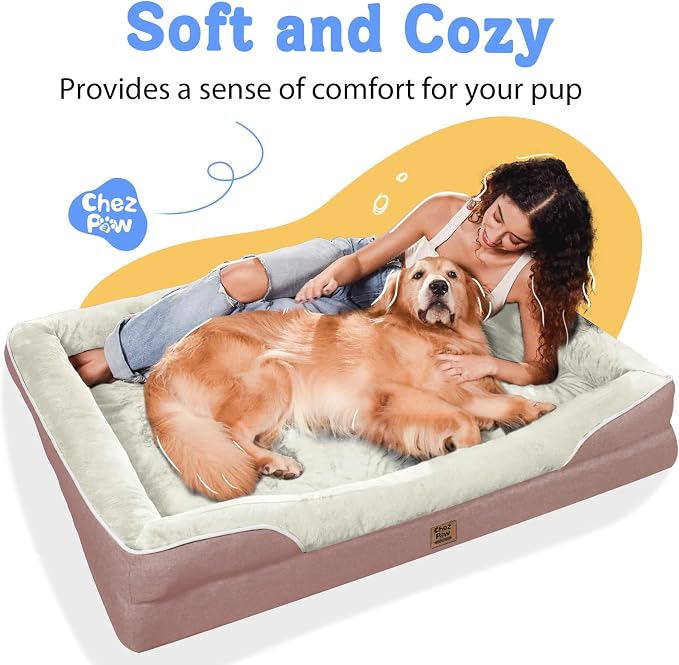 Orthopedic Waterproof Dog Bed for Medium and Large Dogs | Egg Crate Foam, 4-Sided Bolster Support, Waterproof Liner, Non-Slip Bottom, Removable Bolster Cover, 36 x 27 Inch