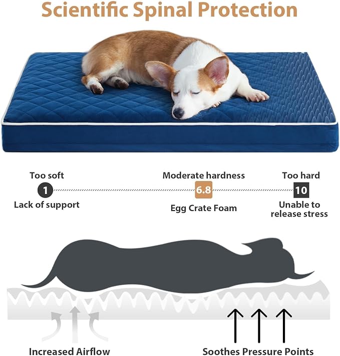 WNPETHOME Orthopedic Giant Human Dog Beds for Adult & Dog Cozy Sleep | Human Washable Waterproof Dogs Bed with Removable Cover, Multi-Needle Quilting Dogs Crate Bed for Relax , Blue 61x43 Inch