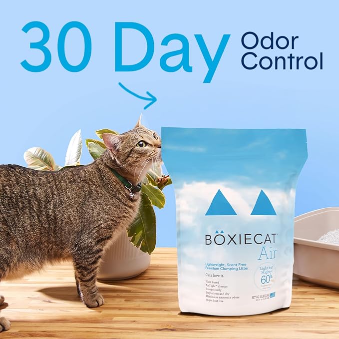 Boxie Unscented Natural Lightweight Cat Litter 30+ Day Odor Control 11.5 lb