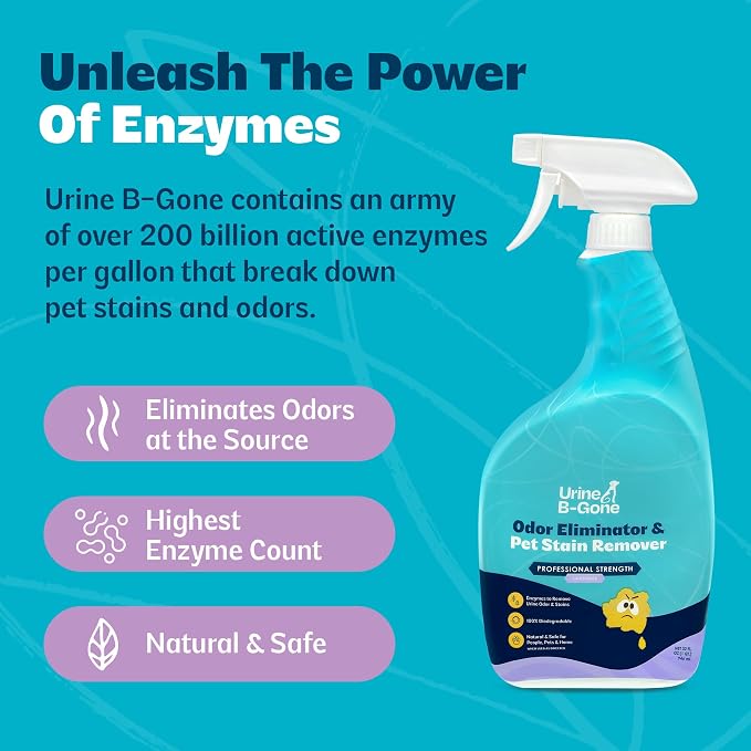 Urine B-Gone Enzyme Cleaner for Human, Cat & Dog Urine, Lavender, 32 oz | Enzyme cleaner for human, cat and dog urine on laundry, carpets and more; lavender scent, 32 oz.