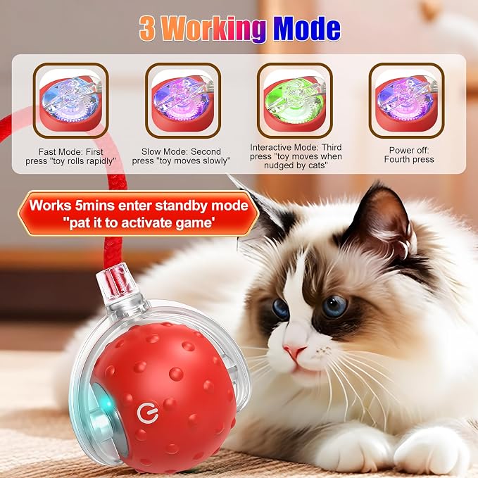 2Pcs Dog Toy, Interactive Dog Cat Toys Balls with Birdsong, Rechargeable 360° Smart Automatic Rolling Electric Dog Ball Toy with Rope for Pets Indoor & Outdoor Play (Red+Blue)