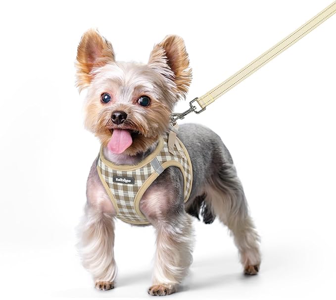 rabbitgoo Dog Harness Small Sized and Leash Set, Step-in Puppy Pet Vest | Light, Soft, Breathable Air Mesh, Easy on and Remove with Hook & Loop, Secure Reflective for Walking, Beige Check XS