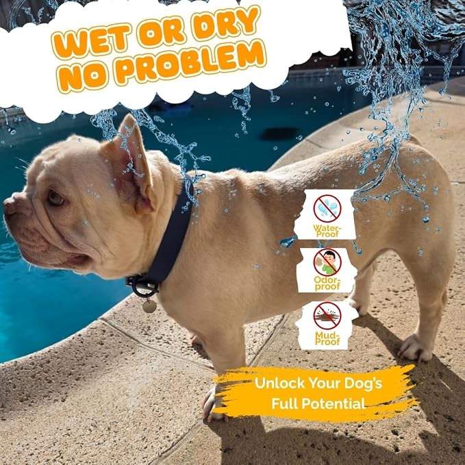 Waterproof Dog Collar, Soft Comfortable Pet Collars, Adjustable Odor Proof Heavy Duty Dog Collars Easy to Clean for Large, Medium Small Dogs by Bee N Buu (Blue, Medium (length12-16, Width 3/4"))