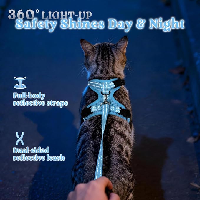 rabbitgoo Cat Harness and Leash, Easy-on with Neck Buckle, Sky Blue