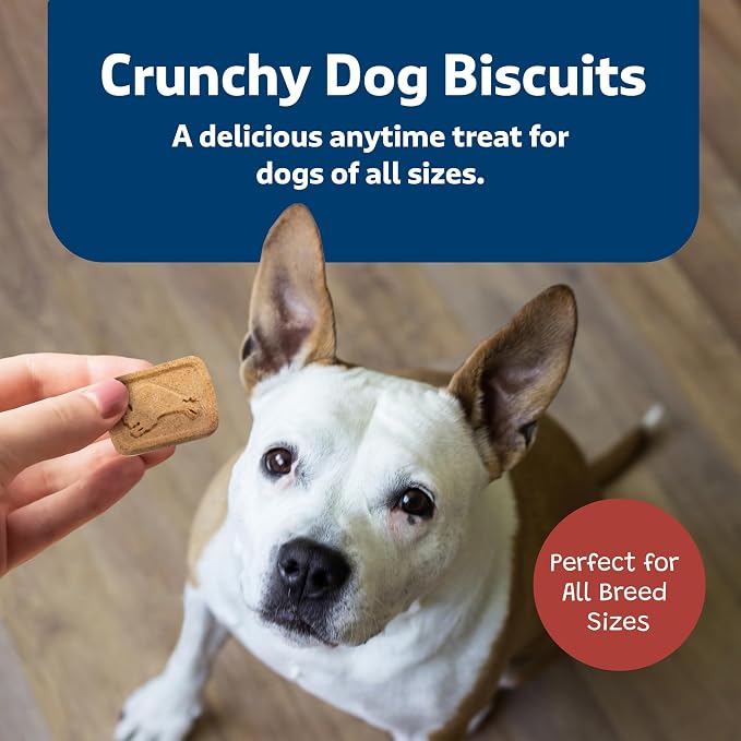 Blue Buffalo Health Bars Bacon Egg & Cheese Mini Dog Biscuits, 2 lb | Smaller Bite, Same Crunch, Oven-Baked, No Chicken By-Product, Corn, Wheat, or Soy