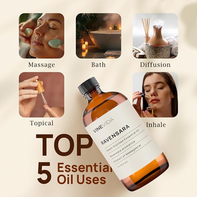VINEVIDA Ravensara Essential Oil 16 oz