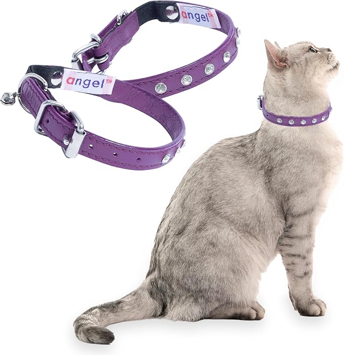 Athens Cat Collar, Leather Kitten Collar w/Rhinestones, Sturdy Breakaway Cat Collar with Bell & Elastic Stretch, Cat Accessories, Orchid Purple, 12 x ½ inches - Angel Pet Supplies