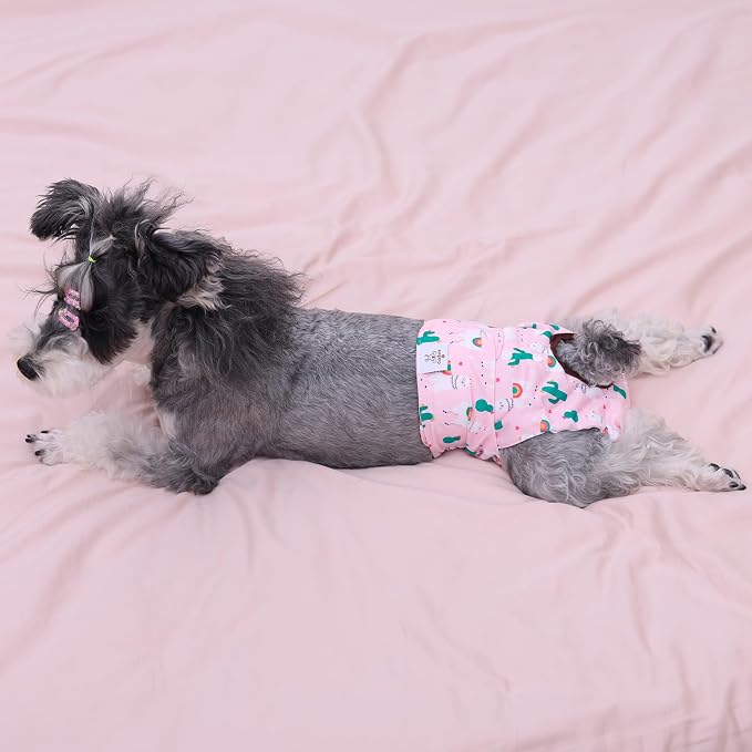 CuteBone Dog Diapers Female Washable Small Medium Large 3 Pack Reusable Doggie Diapers Puppy Period Pants for Doggy Heat Cycle Peeing D31XS