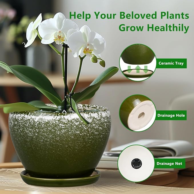 Ceramicfor 6 Inch Plant Pot - Ceramic Planter Pot with Drainage Hole and Saucer, Glaze Succulent Pot Modern Round Flower Pot for Indoor Plants, Dark Green