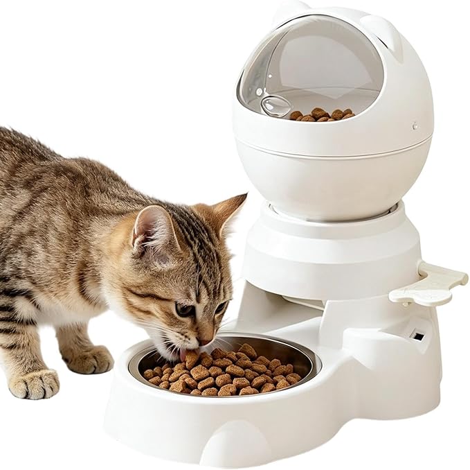 Automatic Feeder Automatic Memory Training Dish