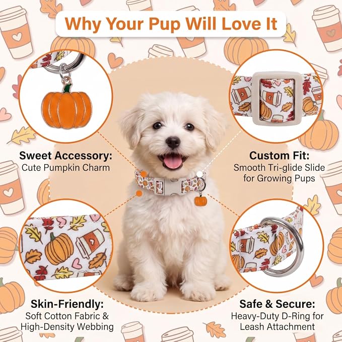 Fall Dog Collar, Medium Collar for Medium Girls Boys Dogs, M