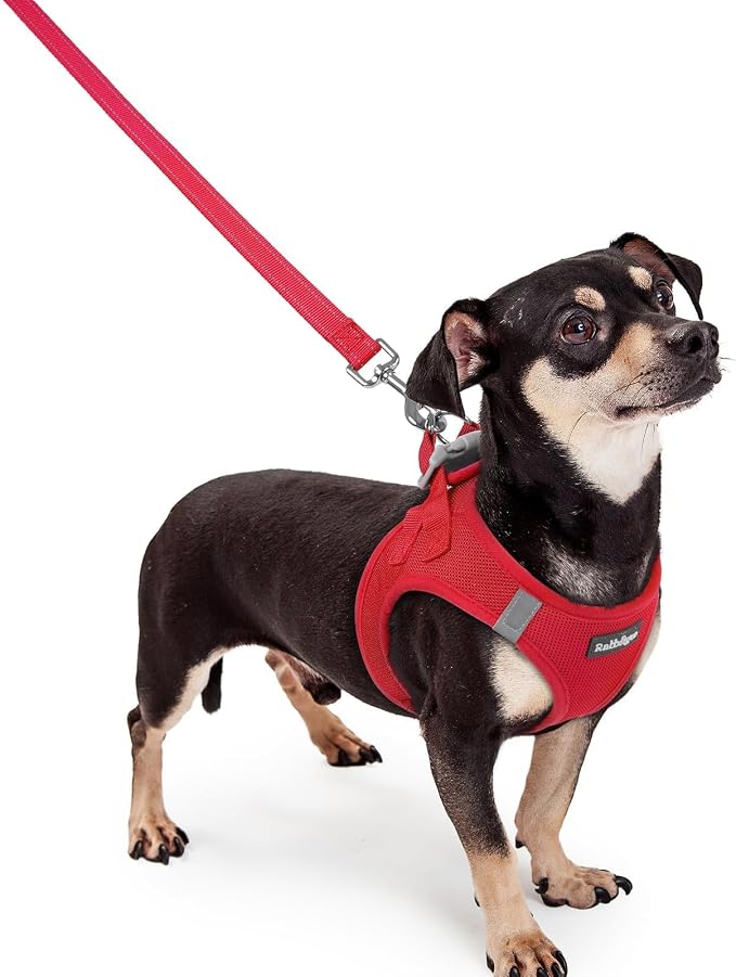 rabbitgoo Dog Harness Small Sized and Leash Set, Step-in Puppy Pet Vest | Light, Soft, Breathable Air Mesh, Easy on and Remove with Hook & Loop, Secure Reflective for Walking, Red XXXS