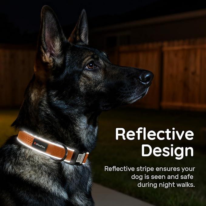 Personalized Dog Collar with QR Code Dog Tag, Oxford Orange S | Anti-lost, Oxford, reflective, padded, XS-L(8"-24"), QR buckle shares lost pet profile, location alerts when scanned, No Fees