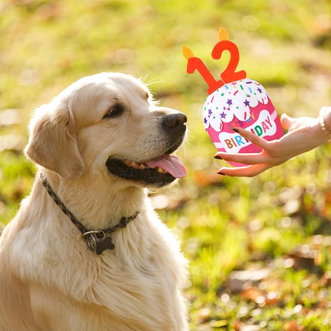 Dansydaisy Dog Birthday Cake Toy Squeaky Plush Gift,12th,Pink