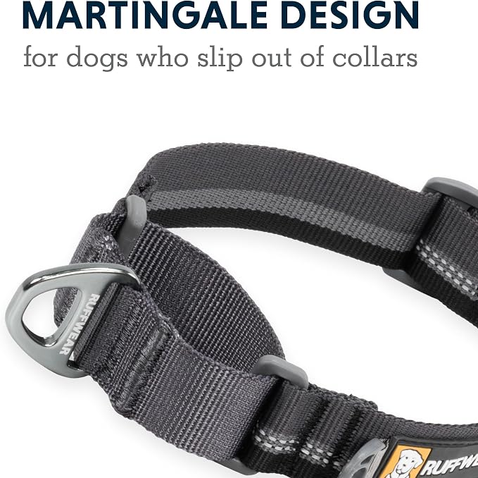 Ruffwear, Web Reaction Martingale Dog Collar, Blue Pool, 14"-17"