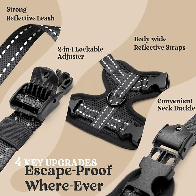 rabbitgoo Cat Harness and Leash, Easy-on with Neck Buckle, Black