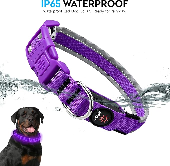 LED Dog Collar, Light Up Dog Collar,for Night Walking(Medium,Purple) | Adjustable,Bright RGB 7 Colors Light Glowing Collar,Waterproof,Nylon,Soft,For Medium and Large Dogs,USB C to Charge