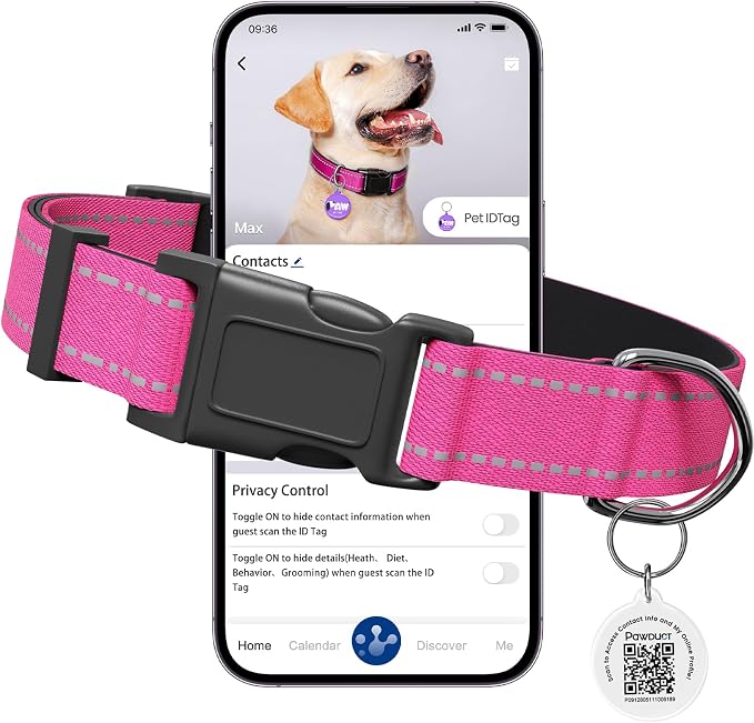 Personalized Dog Collar for Girl Dogs with QR Code Tag, Hot Pink | Reflective Dog Collar with Smart QR ID Tag, Quick Release Buckle, Adjustable and Comfortable Nylon Pet Collar, Medium