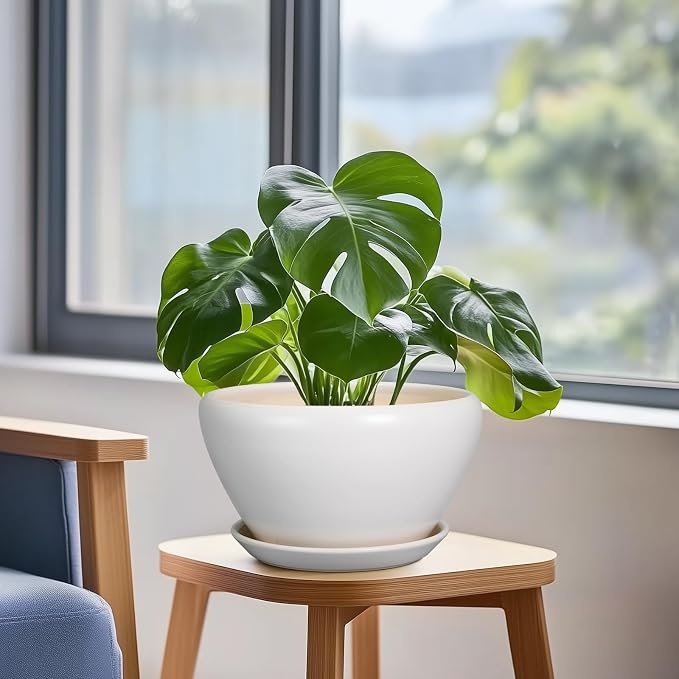 Ceramicfor Ceramic Planter - 9 Inch Plant Pot Indoor with Drainage Hole and Saucer for Outdoor Plants Mid-Century Round Planter Modern Flower Pot for House Garden White