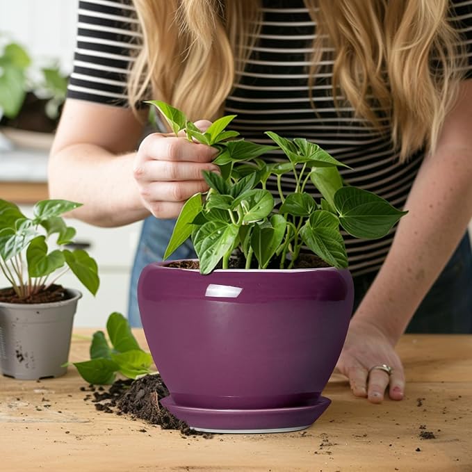 Ceramicfor Ceramic Pots for Plants 6 Inch - Ceramic Plant Pots with Drainage Hole and Saucer, Glaze Round Planter for Succulent Plants, Gifts for Plant Lovers, Garden Home Decor, Purple