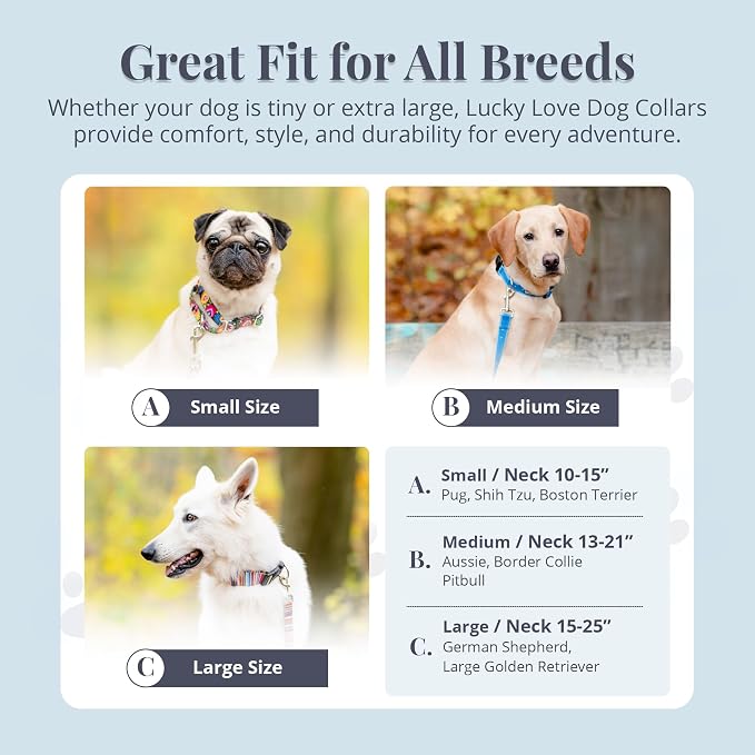 Lucky Love Dog Martingale Collar for Medium Dogs Cute – Blue Laguna, Medium
