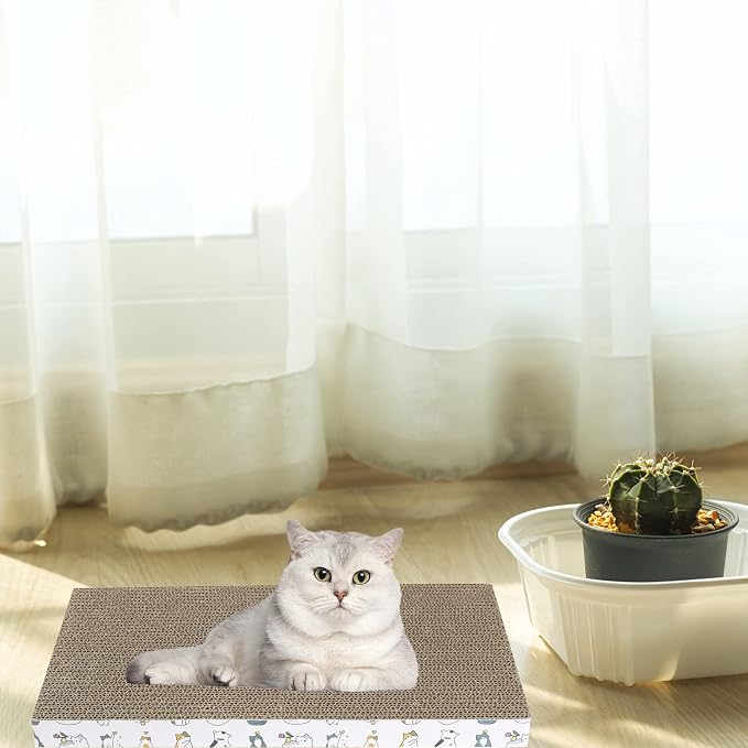 PatiencET Cardboard Cat Scratcher 5 Pack, Cat Scratching Board with Catnips | Flat Double-Sided Cat Scratch Pad for indoor Small Medium Cats Kittens