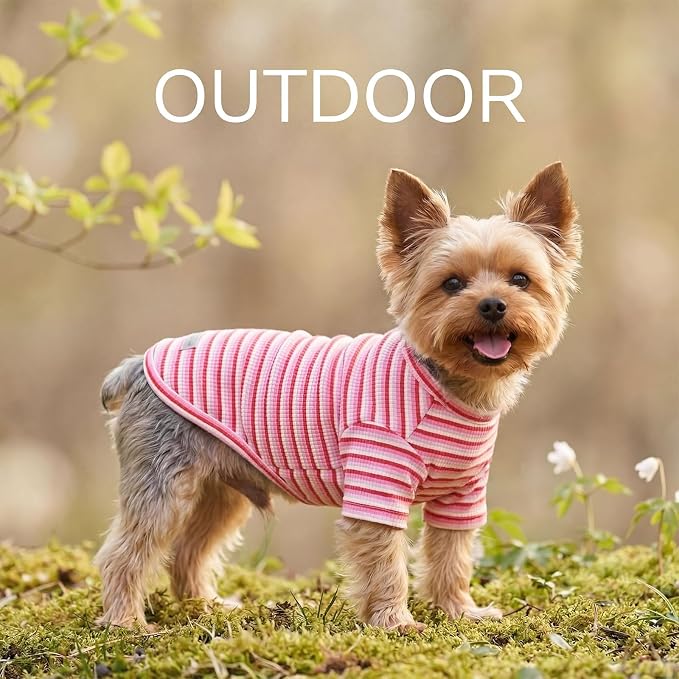 Soft Dog Shirt for Small Medium Dogs, Breathable Pet Clothes for Puppy Girl Boy, Stretchy Cotton Dog Tshirts, Fits Beagles, Dachshund, Bichon, Green Stripe-L