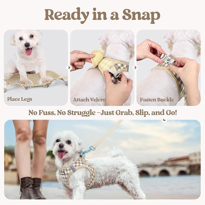 rabbitgoo Dog Harness Small Sized and Leash Set, Step-in Puppy Pet Vest | Light, Soft, Breathable Air Mesh, Easy on and Remove with Hook & Loop, Secure Reflective for Walking, Beige Check M