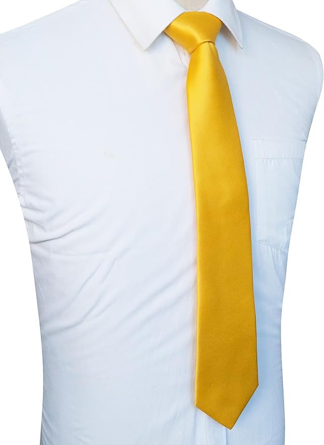 JEMYGINS Solid Color Tie Mens Necktie for Business and Wedding