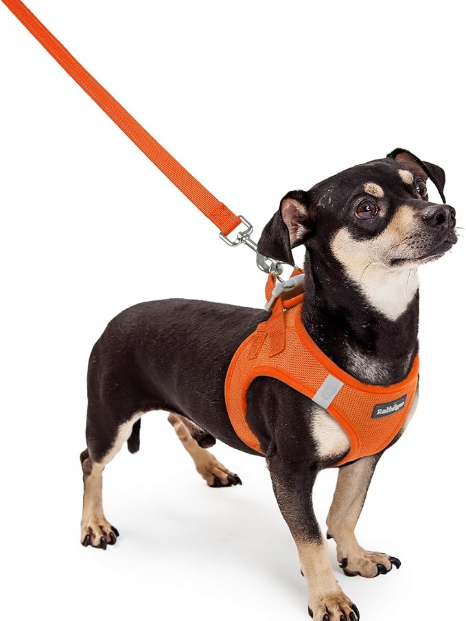 rabbitgoo Dog Harness Small Sized and Leash Set, Step-in Puppy Pet Vest | Light, Soft, Breathable Air Mesh, Easy on and Remove with Hook & Loop, Secure Reflective for Walking, Orange XXXS