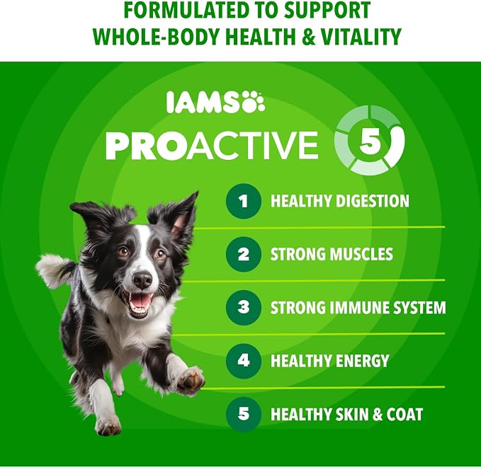 IAMS Proactive Health Adult Minichunks Dry Dog Food, Beef & Rice, 38.5 lb | Real beef #1 ingredient, no fillers or artificial flavors, glucosamine & chondroitin, supports bones, joints & muscles