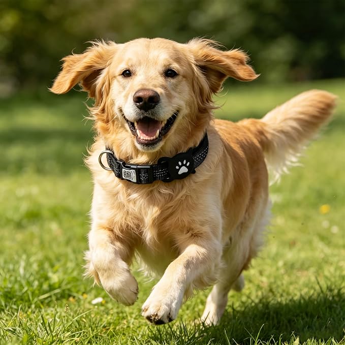 PUPTECK Airtag Dog Collar, Reflective with QR Code Buckle, Waterproof AirTag Holder Outdoor Tracking Pet Collars, Adjustable Soft Padded Durable for Small Medium Large Dogs Walking Training, Black L