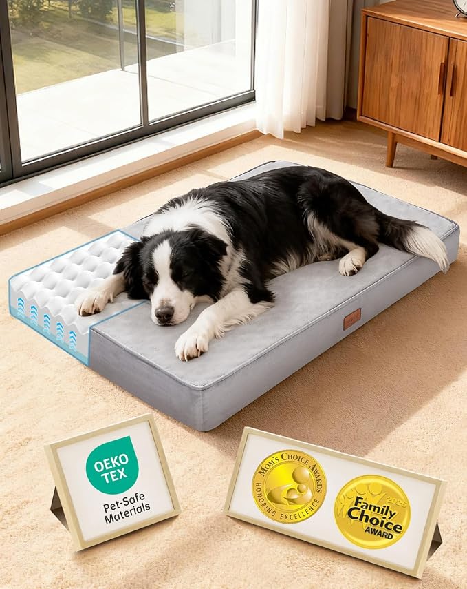 OhGeni Orthopedic Waterproof Med Large Dog Bed, Memory Foam, 35 inch(Gray) | Machine-Washable Removable Cover in Easy-Clean Fabric, Reversible Memory Foam & Easy-Carry Handle, Suitable for Crate