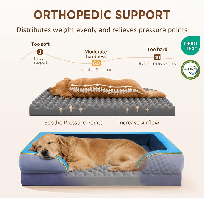 Comfort Expression Orthopedic Dog Bed for Extra Large Dogs with Bolster | Waterproof Dog Couch Bed with Washable Cover & Non-Slip Bottom, Supportive Egg Crate Foam XL Pet Bed, 42x30 Inch