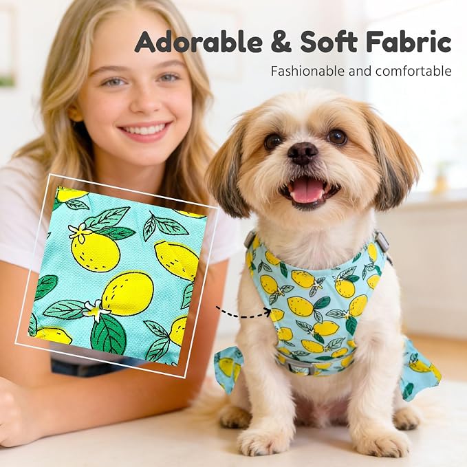 BAEJMJK Dog Dress Bowknot Harness Leash Set for Small Dogs Cats Girl Floral Princess Dog Dresses Cute Puppy Fruit Clothes Pet Doggy Outfits Spring Summer Breathable Dresses(Green,X-Small)