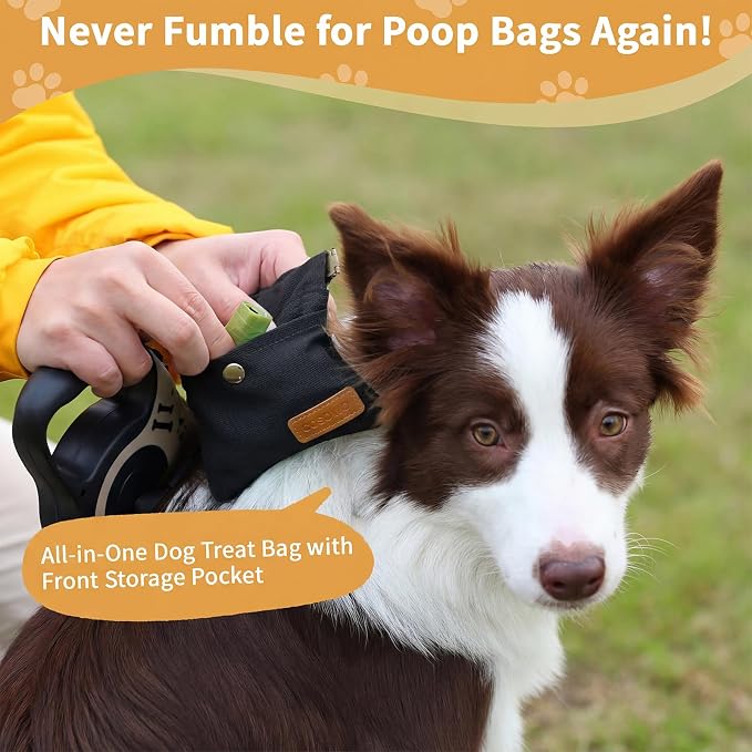 Dog Treat Pouch for Pet Training, Carabiner & Magnetic Buckle, Black