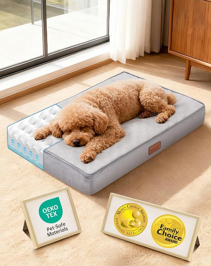 OhGeni Orthopedic Waterproof Small Dog Bed, Memory Foam, 24 inch(Gray) | Machine-Washable Removable Cover in Easy-Clean Fabric, Reversible Memory Foam & Easy-Carry Handle, Suitable for Crate