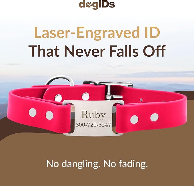 dogIDs Personalized Dog Collar – ScruffTag Custom Waterproof Biothane Dog Collar with Laser-Engraved Name, Durable & Odor-Resistant – USA Made | Magenta, 3/4 in x 14 in (Fits Neck Sizes 12-16 in)