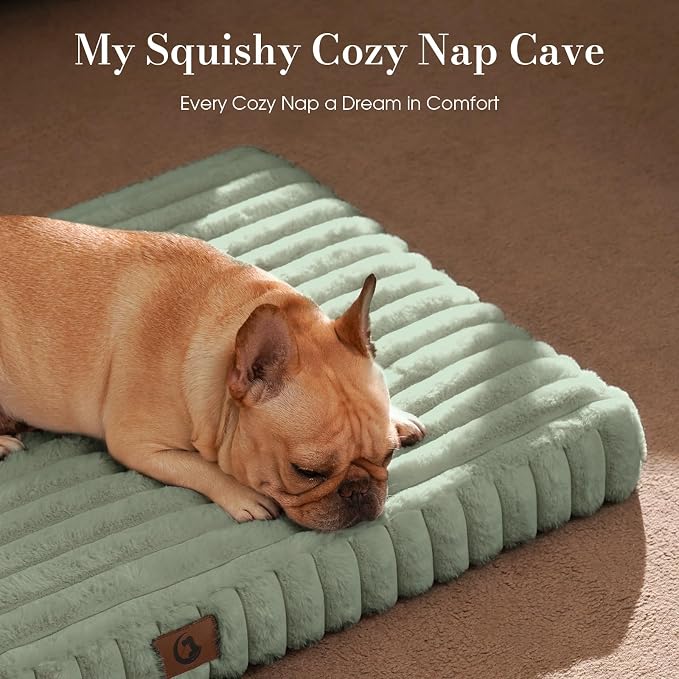 Medium Dog Bed Orthopedic Foam with Waterproof Lining | Egg crate foam for joint support. Soft plush surface. Non-slip bottom. Removable & machine washable cover. OEKO-TEX certified