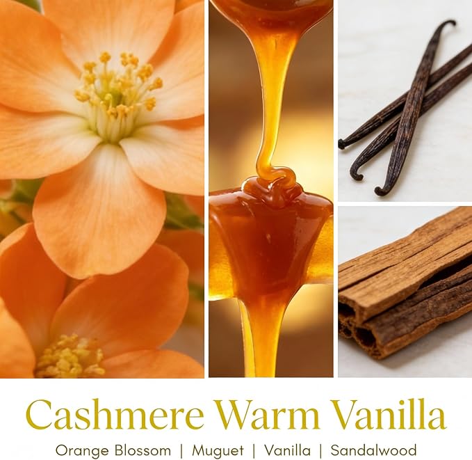 HomeLights Scented Candles for Women & Men, 6.7oz Candle Jars Aromatherapy Single Wick Candle, Ideal for Industrial Chic Home Decor and Gifts, Cashmere Warm Vanilla