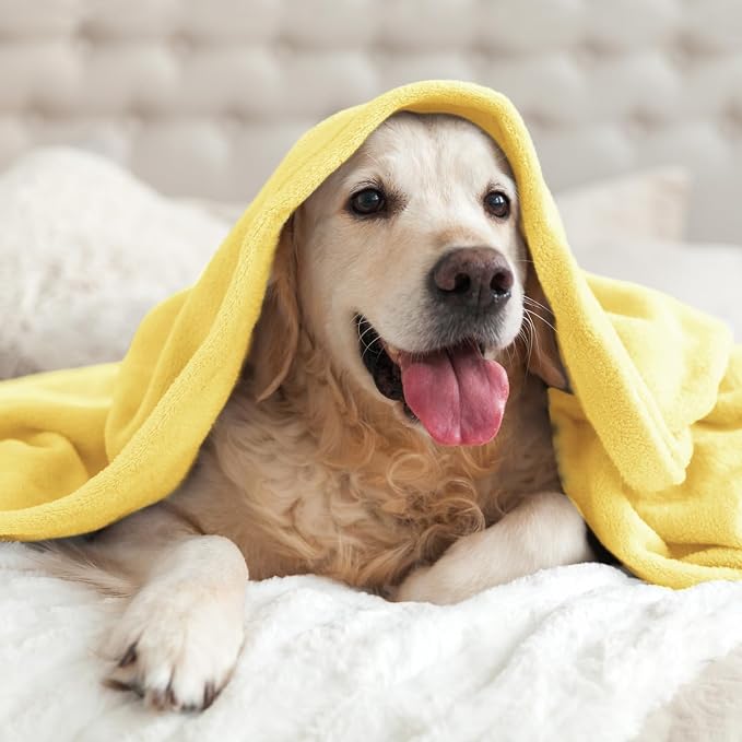 BEDELITE Fleece Blanket Soft Plush Throw for Couch Light Yellow 50"x60" | Ultra Soft Fleece, Plush Microfiber, Lightweight Warmth, All Season Comfort, Fade Resistant, Machine Washable, Couch Sofa Bed