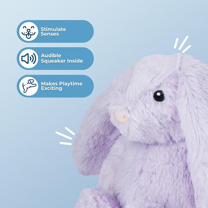 Best Pet Supplies Bunny Buddy Squeaky Plush Dog Toy - Purple, Small | Soft Plush, Squeaks & Crinkles, Perfect for Moderate Chewers, Toss & Fetch Play, Stress & Anxiety Reliever, Ideal Gift Toy