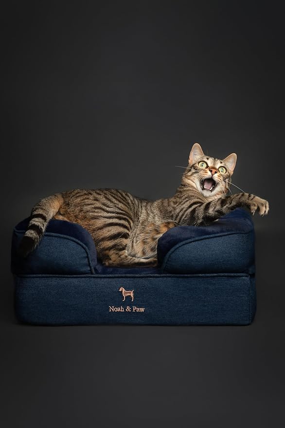 NOAH & PAW Small Dog Bed, 20x15x8 Inch, Cat Bed for Indoor Cats, Orthopedic Eggshell Memory Foam Infused with Cooling Gel, Water Resistant Inner Cover Machine Washable (Denim Collection)